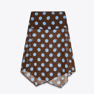 NWT Zara Polka dot skirt (sold out)